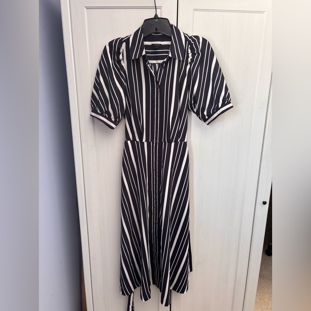 Ann Taylor Navy and White Midi Dress